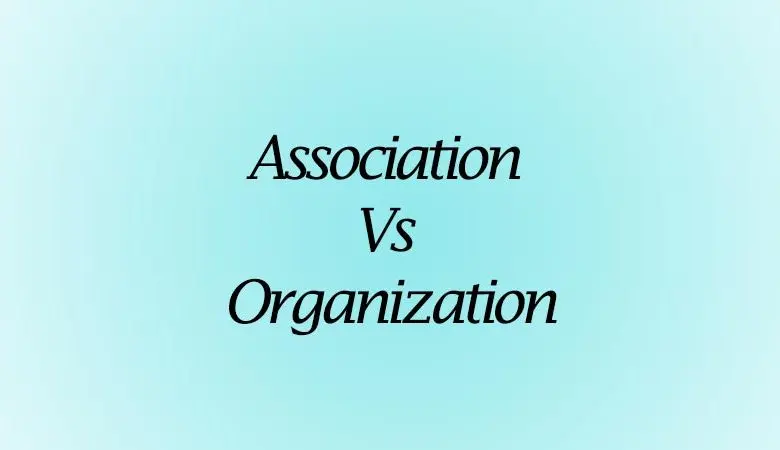  Difference Between Association and Organization 