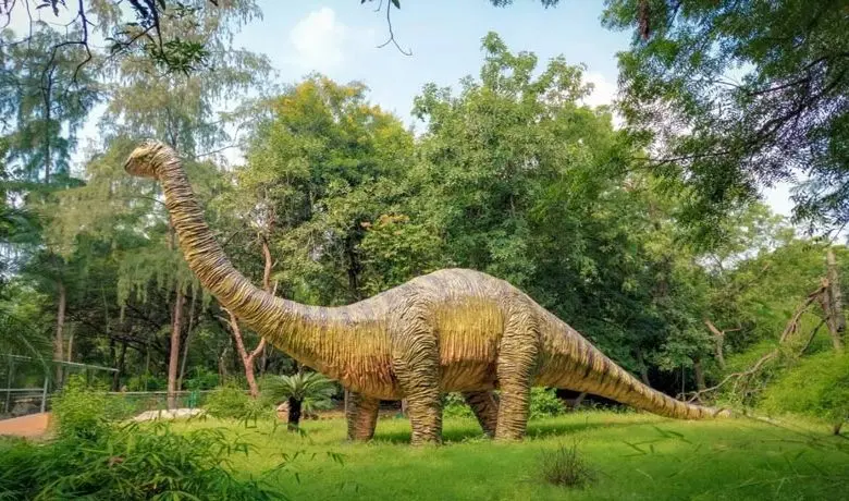  Difference Between Brontosaurus and Brachiosaurus 