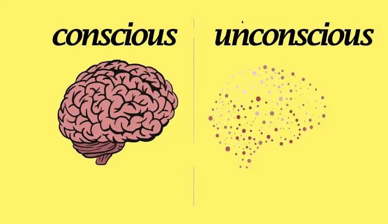  Difference Between Conscious and Unconscious 