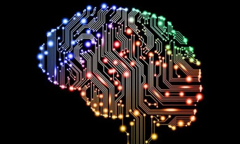  What Is the Difference Between Eidetic Memory and Photographic Memory? 