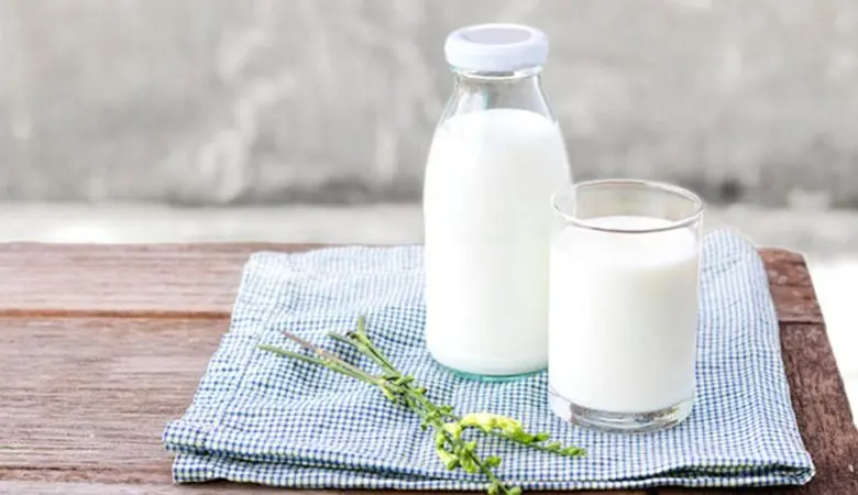  What Is The Difference Between Full Cream Milk and Whole Milk? 
