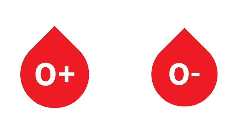  Difference Between O Positive and O Negative 