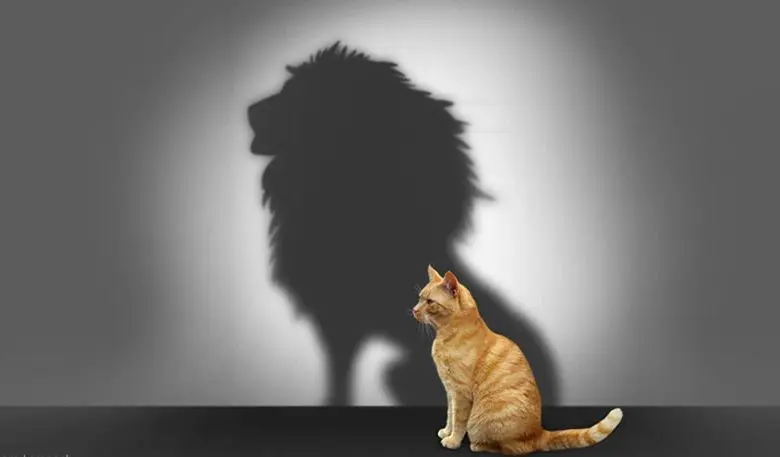  Difference Between Perception and Reality 