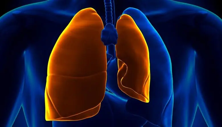  What Is the Difference Between Pneumothorax and Tension Pneumothorax? 