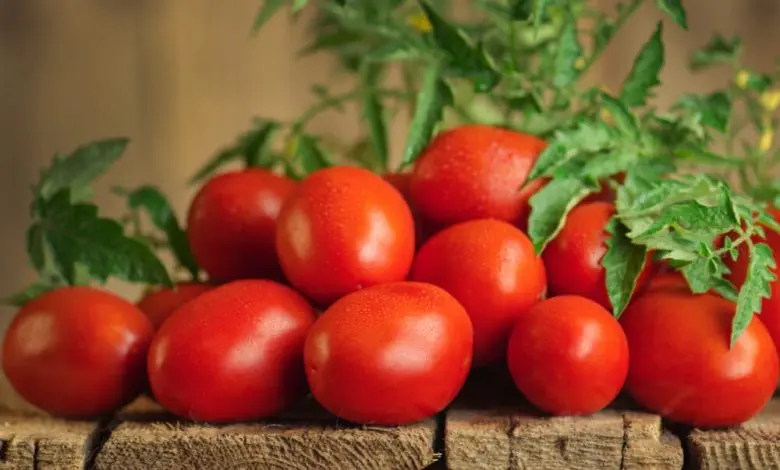  Difference Between Roma and Plum Tomatoes 