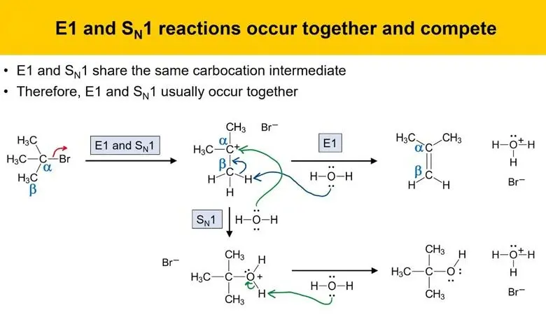  Difference Between SN1 and E1 Reactions 