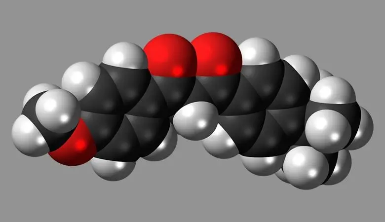  What Is the Difference Between Avobenzone and Benzene? 