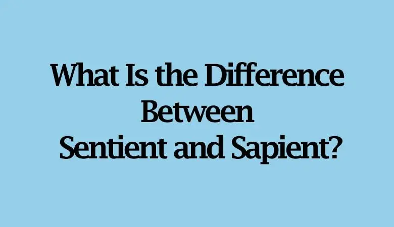  What Is the Difference Between Sentient and Sapient? 